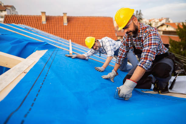 Steel Roofing in Maroa, IL