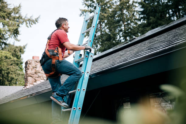 Best Metal Roofing Installation  in Maroa, IL